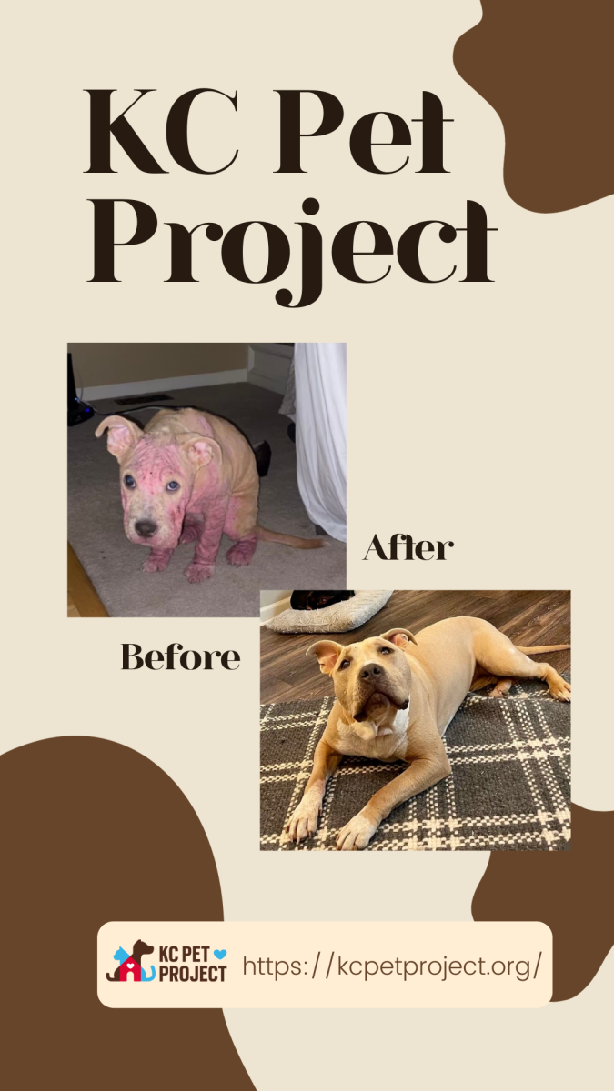 KC Pet Project Needs Help