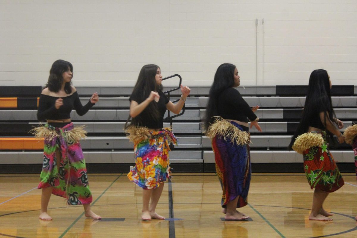 Diversity Fair Performances