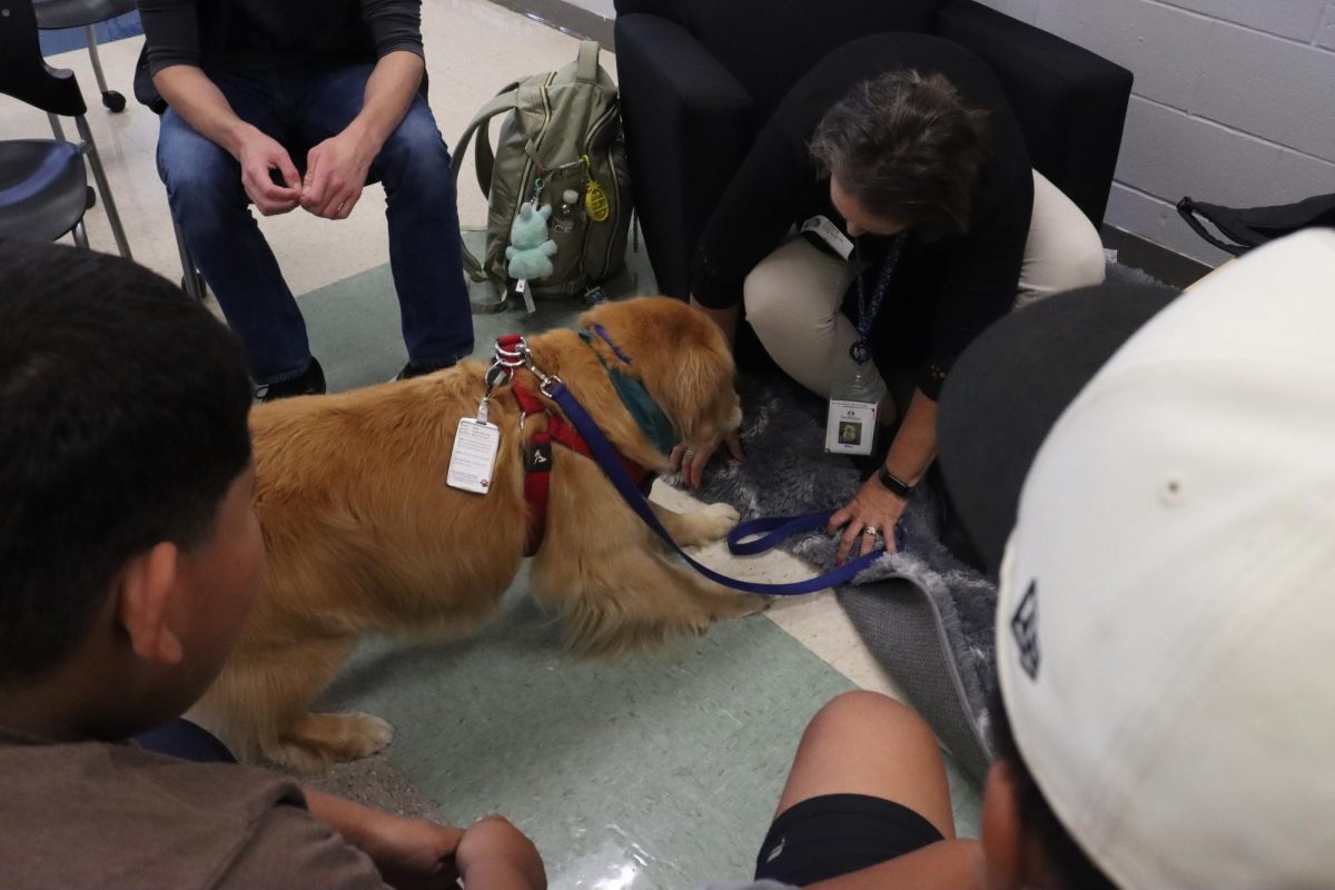 Library Dogs_10.1.25_Gabriel Miller (133)