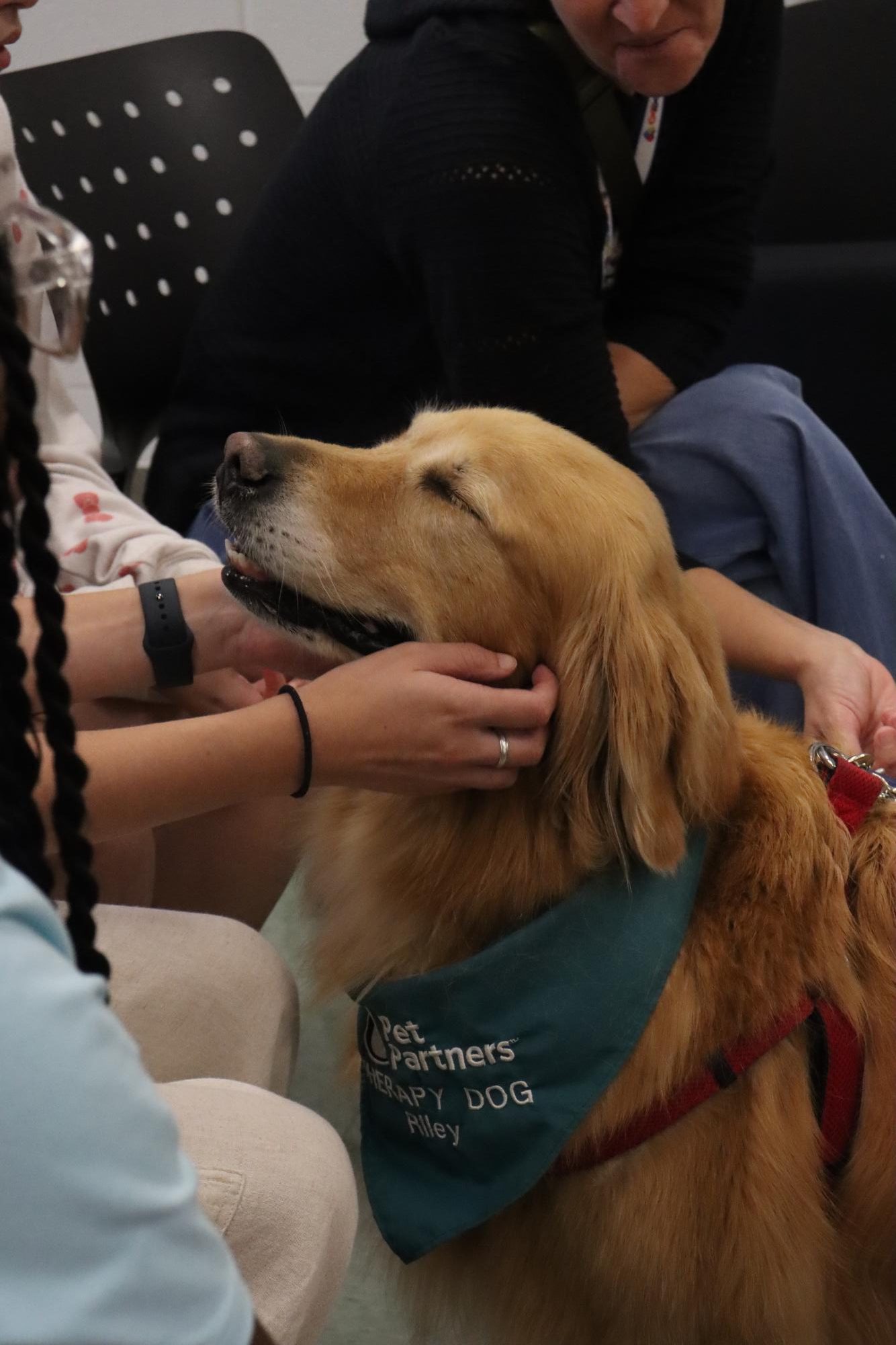 Receiving pets, Riley the therapy dog spends his morning in the library.