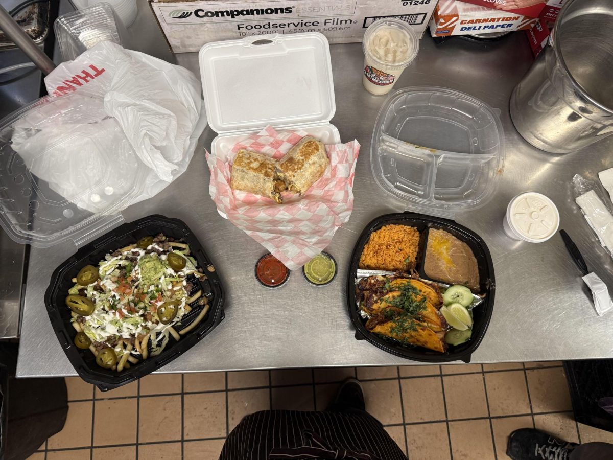 Party Fries (Left) Breakfast Burrito (Middle) Quesabirria Tacos (Right)